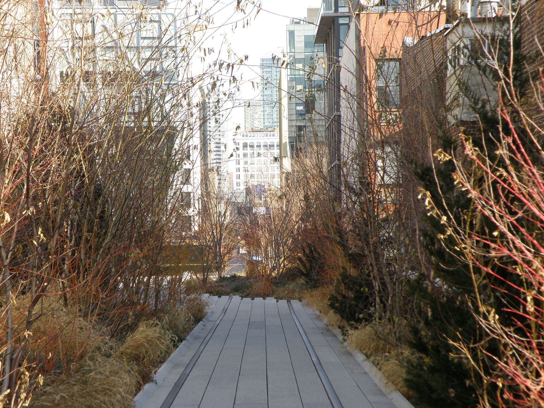 New York City: la High Line
