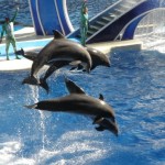 seaworld
