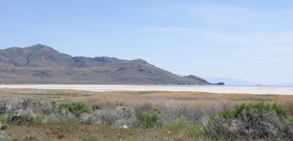 Antelope Island sur le grand lac salé près de Salt Lake City (Utah)